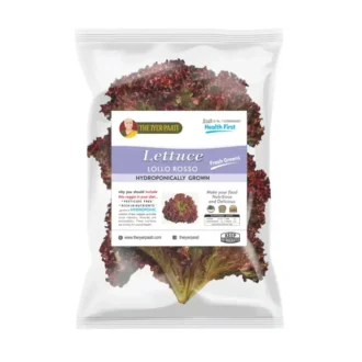 Hydroponic Lollo Rosso (Red) Lettuce