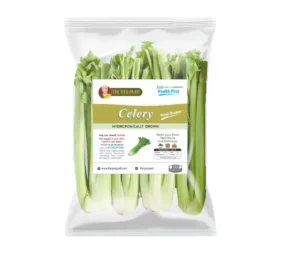 [160001-006] Hydroponic Celery