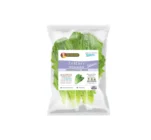 [160001-007] Hydroponic Lettuce Romaine