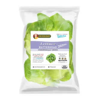 Hydroponic Lettuce Butterhead