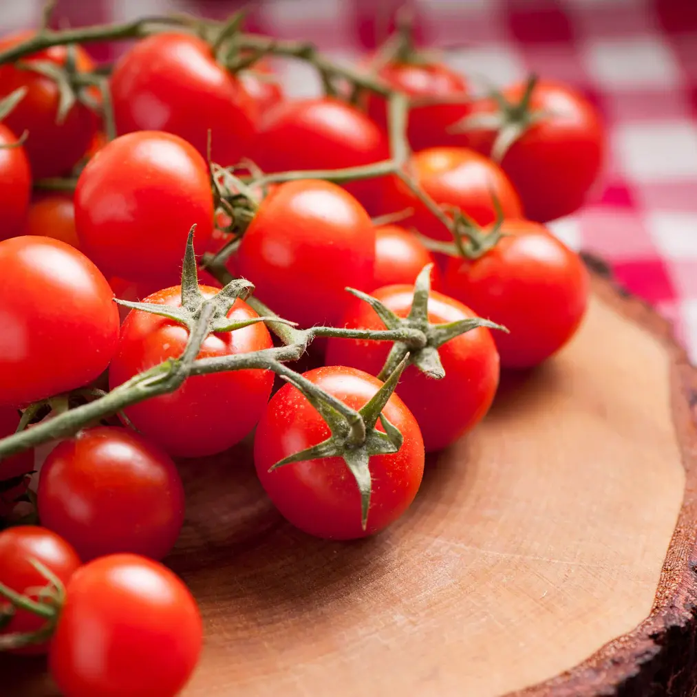 Hydroponic Cherry Tomatoes - Image 2